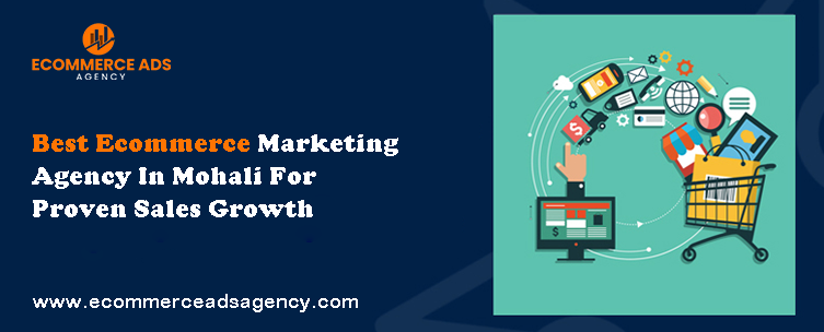 Best Ecommerce Marketing Agency In Mohali For Proven Sales Growth